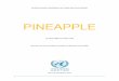 PINEAPPLE - An INFOCOMM Commodity Profile - …unctad.org/en/PublicationsLibrary/INFOCOMM_cp09_Pineapple_en.pdf · PINEAPPLE An INFOCOMM Commodity Profile UNCTAD Trust Fund on Market