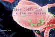 The Immune System - California's Stem Cell Agency | · PPT file · Web view · 2017-07-14Stem Cells and the Immune System ... another reason why stem cell transplants fail. ... capable