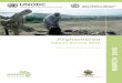 MASTER report socioeconomic 15032016 · PDF fileAfghanistan Opium Survey 2015: Socio-economic Analysis 7 With the multitude of possible reasons for changes in area under cultivation