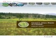 Invasive Alien Plants in Canada - agrireseau.net Report... · 2 overview I nvasive alien plants are harmful non-native plant species whose intro-duction or spread threatens the environment,