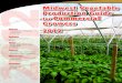Midwest Vegetable Production Guide for …extension.missouri.edu/sare/documents/ID562012.pdfMidwest Vegetable Production Guide for Commercial Growers 2012 Editors Purdue University:
