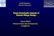 Some Aeroelastic Aspects of Slender Wings Design · PDF fileA cantilever slender wing has been ... A uniform distributed load has been applied in ... PRELIMINARY ANALYSIS OF “SCALED”