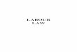 LABOUR LAW - Welcome to Cambodia Law Office Laws in English/CAMBODIA LABOUR… · LABOUR LAW CONTENTS CHAPTER I: GENERAL PROVISIONS SECTION I: SCOPE OF APLLICATION Different Categories