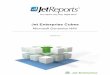 Microsoft Dynamics NAV - Download Jet Reports …download.jetreports.com/KB Resources/Jet Enterprise Cubes for NAV...Version 3.0 Jet Enterprise for Dynamics NAV 5 Terminology The terms