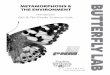 METAMORPHOSIS & THE ENVIRONMENT - Earth's …earthsbirthday.org/.../Handouts-Butterfly-Lab-6th-7th-2016.pdf · METAMORPHOSIS & THE ENVIRONMENT Handouts ... The temperature is glass