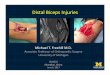 Distal’Biceps’Injuries - ISAKOS | Arthroscopy · PDF fileBT SA EB IS Sethi-RB ) Peak Load to Failure Comparison Series1 . Displacement Interference’screw’leastamountof 