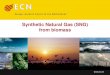 Synthetic Natural Gas (SNG) from · PDF fileSynthetic Natural Gas (SNG) from biomass The potential & implementation of SNG by gasification of biomass Ir. Robin Zwart, Dr. Luc Rabou