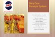 Dairy Case Conveyor Systemddsconveyorinc.com/.../uploads/2016/09/Dairy-Case-Conveyor-Syste… · +System Design / Project Management / ... Dairy Case Conveyor System ... SST STRAIGHT