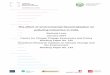 The effect of environmental decentralization on polluting industries · PDF file · 2017-05-07The effect of environmental decentralization on polluting industries in India ... United