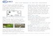 Elm Leaf Beetle in the ACT - Factsheet - Home - Web view · 2016-07-18These include a small wasp (Oomyzusgallerucae) and a fly (Erynniopsisantennata). A natural bacterium ... Elm