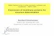 Expression of membrane proteins for structure · PDF fileExpression of membrane proteins for structure determination ... structure determination of membrane ... • Western blot analysis