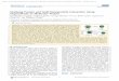 Studying Protein and Gold Nanoparticle Interaction Using ...dli9/Publications/Studying Protein and Gold... · 1 Studying Protein and Gold Nanoparticle Interaction Using ... layer
