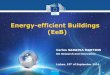 Energy-efficient Buildings (EeB) - Fundação para a … and Innovation The EeB Roadmap •Part1: Vision •An innovative high-tech energy-efficient European Construction industry