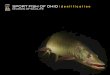SPORT FISH OF OHIO identification - Wildlife Homewildlife.ohiodnr.gov/portals/wildlife/pdfs/publications...SPORT FISH OF OHIO identification DIVISION OF WILDLIFE 2 With more than 40,000