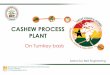 CASHEW PROCESS PLANT - African Cashew  · PDF fileCashew process plant - Schematic layout .   .   ... This machine is used to grade the raw cashew nuts based on its size