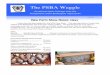 The PSBA Waggle PSBA Waggle 1 Occasional Cyber Postings from the Pennsylvania State Beekeepers Association! 2 4/17/15! New Farm Show Honey class ! A new class has been added for the