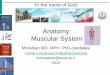Anatomy: Muscular Systemhome.sums.ac.ir/~moradij/wp/wp-content/uploads/2013/10/Ana... · Cardiac muscle Smooth muscle Involuntary controlled by autonomic nervous system ... Non-striated