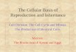 The Cellular Basis of Reproduction and Inheritanceinstruction2.mtsac.edu/sschmidt/biology/selected_lectures/Bio... · The Cellular Basis of Reproduction and Inheritance ... The Cell