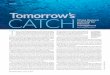 Tomorrow's catch: Chaos theory's potential for fisheries ...deepeco.ucsd.edu/.../14_popkin_tomorrows_catch.pdf · bers remained low until the late 1980s, ... Tomorrow’s fishing.indd