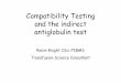 Compatibility Testing and the indirect antiglobulin · PDF fileperform an Indirect Antiglobulin Test, IAT [Coombs Test] Indirect Antiglobulin Test • An IAT should be performed for