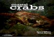 a guide to the crabs of New Zealand - NIWA · PDF filea guide to the crabs of New Zealand ... used characters that can be seen by eye or magnifying glass, ... is provided in descriptive