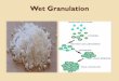 Wet Granulation - uomustansiriyah.edu.iq07_52...Wet Granulation The wet granulation ... during milling process. 2. ... Stability problem because of the presence of moisture speeds