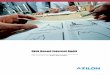 Risk Based Internal Audit - Azilonazilon.com/Brochures/RiskAuditor.pdf · Risk Based Internal Audit ... organization (including matrix reporting structure). ... Planning, Scheduling