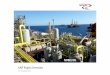 Nobel Oil Services (UK) -  · PDF fileSAP Project Overview 21st of April 2016 Nobel Oil Services (UK) NOBEL OIL. 2 ... Supply Chain Management (group of business