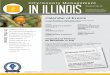 in IllinoisCity/County Management - ILCMA · PDF filein IllinoisCity/County Management Volume 10 No. 10 June ... Peters at dpeters@niu.edu. In April, ... Prices vary greatly for