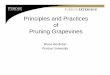 Principles and Practices of Pruning Grapevines - Food · PDF filePrinciples and Practices of Pruning Grapevines Bruce Bordelon Purdue University. Common Pruning Questions • What?