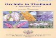 ORCHIDS IN THAILAND - APAARI · PDF files uccess of orchids in Thailand projects a commitment on the part of the Asia-Pacific Association of Agricultural Research Institutions (APMRI)