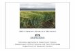 2015 SPRING BARLEY REPORT - Montana State Universityplantsciences.montana.edu/crops/2015BarleyReport.pdf · 2015 Spring Barley Report . A collaborative effort of MSU Barley Breeding