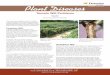 SP 370-C Plant Diseases (Available online only) Publications/Tomato Wilt... · Entomology and Plant Pathology. Plant Diseases SP 370-C. There are many possible causes of wilting of