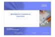 WebSphere Commerce Overview - web.fe.up.pteol/TNE/APONT/e-Commerce_IBM_Maio2008.pdf · WebSphere Commerce Overview 1 © 2007 IBM Corporation 5/20/2008 Agenda Trends in e-Commerce