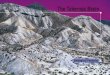The Tabernas Basin - · PDF filej. c. braga - josé m. martín 137 geological features and evolution simplified geological map and stratigraphical succession for the tabernas basin