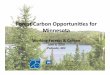 Forest Carbon Opportunies for Minnesota - Dovetail  · PDF fileForest Carbon Opportunies for ... – Critical for cap-and-trade cost containment ... Winrock International,