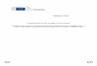 COMMISSION STAFF WORKING DOCUMENT Strategic export …trade.ec.europa.eu/doclib/docs/2013/february/tradoc... ·  · 2013-03-06recognise that the EU export control system strives