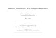 Diaspora Philanthropy: The Philippine Experience · PDF fileDiaspora Philanthropy: The Philippine Experience I . ... strategy as it masks underlying weaknesses in the financial system