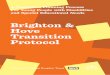 A Transition Planning Process For Young People with · PDF file · 2013-04-23For Young People with Disabilities and Special Educational Needs ... is about the transition from childhood