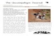 The Uncompahgre Journal - Colorado Archaeological · PDF fileThe Uncompahgre Journal CHIPETA CHAPTER MAY 2009 COLORADO ARCHAEOLOGICAL SOCIETY VOLUME 26, NO. 5 Monthly ... Alpine Archaeological