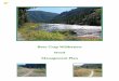 Bear Trap Wilderness Weed Management Plan Trap... · The purpose of this management plan is to define priorities, goals and objectives for weed management within the Bear Trap Wilderness