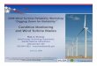 Condition Monitoring and Wind Turbine Blades - Sandia …windpower.sandia.gov/2009Reliability/PDFs/Day2-08-MarkRumsey.pdf · 2009 Wind Turbine Reliability Workshop “Di i D f R li