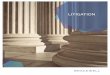 LITIGATION - · PDF fileLitigation Bracewell has one of the nation’s leading litigation practices. For over 70 years our lawyers have been handling almost every type of commercial
