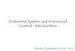 Endocrine System and Hormonal Control: Introduction body’s regulator •There are two systems responsible for maintaining homeostasis (homeostasis is maintaining a constant internal