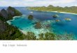 DESTINATION GUIDE Raja Ampat | Indonesia - … GUIDE Raja Ampat | Indonesia Introducing S/Y Lamima Lamima’s interior is enriched with warm, exotic woods and subtle Indonesian touches
