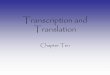 Transcription and Translation - The University of … and Translation Chapter Ten Central Dogma DNA RNA Protein Transcription Translation Definitions Transcription – To copy down,