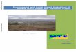 Environmental and Social Impact Assessment of … (Final Report) CONSULTING ENGINEERS PLC May, 2011 Addis Ababa Addis Ababa Pick the date] Environmental and Social Impact Assessment