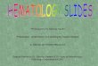 Hematology Slides - TSDocstsdocs.org/downloads/Hematology.pdfHematology Slides Author *NM* Naeem Majeed; TSDocs Subject Hematology Created Date 2/28/2008 7:24:28 PM 