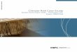 Climate Risk Case Study - World Bank Climate Change Adaptation Case Study: Bulleh Shah Paper Mills (BSPM), Packages, Ltd. Kasur, Pakistan 1. Executive Summary This report assesses