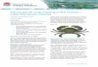 Recreational Crab Fishing in Hunter/Lake Macquarie · Recreational Crab Fishing in the Hunter / Lake Macquarie District 3 NSW Department of Primary Industries, January 2017 • No